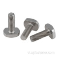 Thép không gỉ tùy chỉnh đầu vuông T Bolt